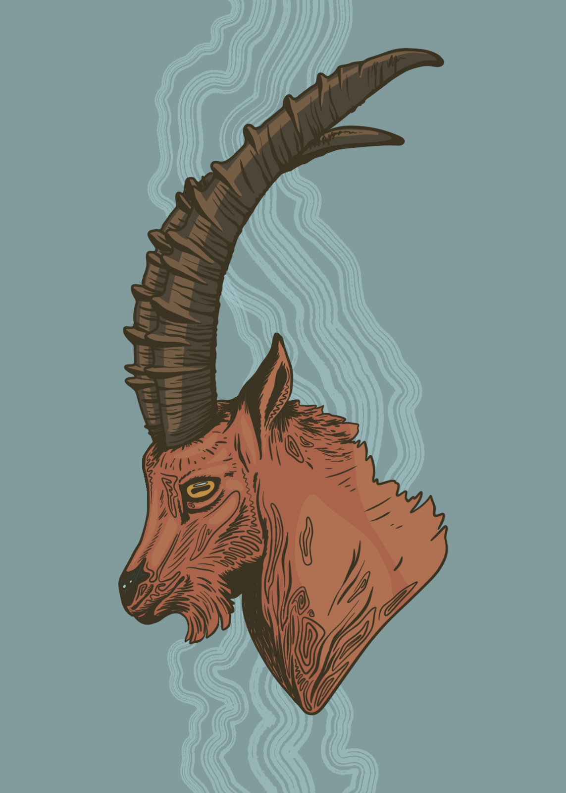 Alpine Ibex Illustration